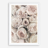 Shop Vintage Peonies II Art Print a floral themed painted wall art print from The Print Emporium wall artwork collection - Buy Australian made fine art painting style poster and framed prints for the home and your interior decor room, TPE-347-AP
