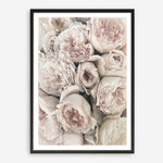 Shop Vintage Peonies II Art Print a floral themed painted wall art print from The Print Emporium wall artwork collection - Buy Australian made fine art painting style poster and framed prints for the home and your interior decor room, TPE-347-AP