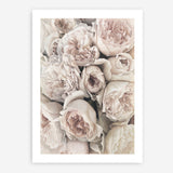 Shop Vintage Peonies II Art Print a floral themed painted wall art print from The Print Emporium wall artwork collection - Buy Australian made fine art painting style poster and framed prints for the home and your interior decor room, TPE-347-AP