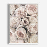 Shop Vintage Peonies II Canvas Print a floral themed painted framed canvas wall art print from The Print Emporium artwork collection - Buy Australian made fine art painting style stretched canvas prints for the home and your interior decor space, TPE-347-CA-35X46-NF