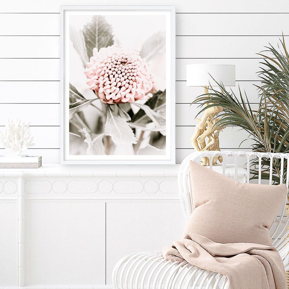 Shop Waratah Flowers III Photo Art Print a floral themed photography wall art print from The Print Emporium wall artwork collection - Buy Australian made fine art poster and framed prints for the home and your interior decor room, TPE-959-AP