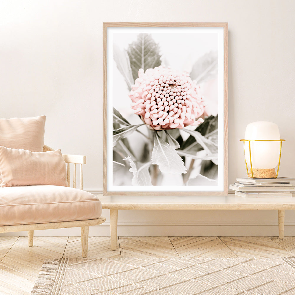 Shop Waratah Flowers III Photo Art Print a floral themed photography wall art print from The Print Emporium wall artwork collection - Buy Australian made fine art poster and framed prints for the home and your interior decor room, TPE-959-AP