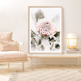 Shop Waratah Flowers III Photo Art Print a floral themed photography wall art print from The Print Emporium wall artwork collection - Buy Australian made fine art poster and framed prints for the home and your interior decor room, TPE-959-AP