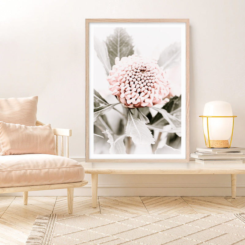 Buy Waratah Flowers III Photo Art Print | The Print Emporium®
