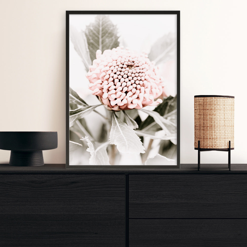Shop Waratah Flowers III Photo Art Print a floral themed photography wall art print from The Print Emporium wall artwork collection - Buy Australian made fine art poster and framed prints for the home and your interior decor room, TPE-959-AP