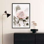 Shop Waratah Flowers III Photo Art Print a floral themed photography wall art print from The Print Emporium wall artwork collection - Buy Australian made fine art poster and framed prints for the home and your interior decor room, TPE-959-AP