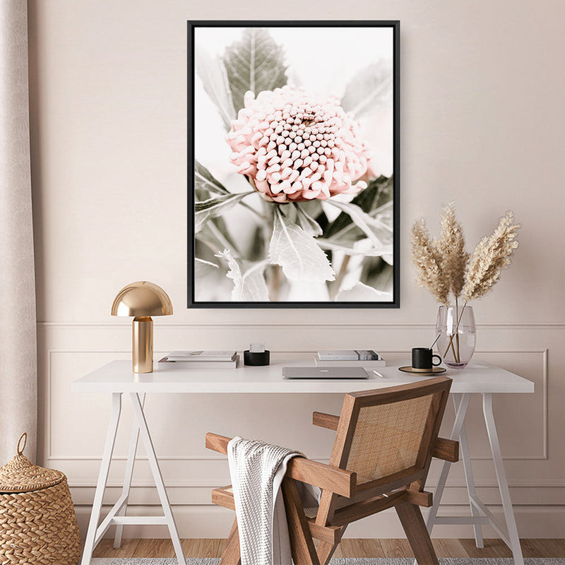 Shop Waratah Flowers III Photo Canvas Print a floral themed photography framed stretched canvas print from The Print Emporium wall artwork collection - Buy Australian made prints for the home and your interior decor space, TPE-959-CA-35X46-NF