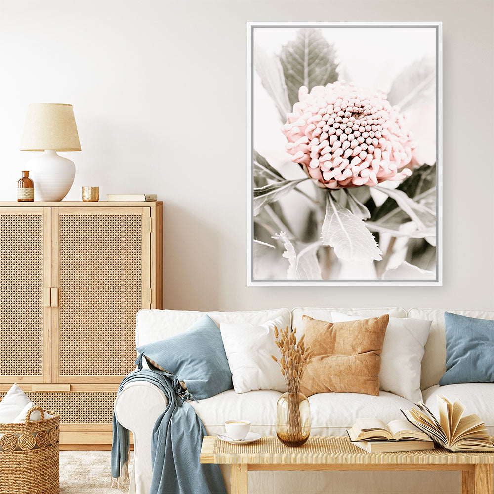 Shop Waratah Flowers III Photo Canvas Print a floral themed photography framed stretched canvas print from The Print Emporium wall artwork collection - Buy Australian made prints for the home and your interior decor space, TPE-959-CA-35X46-NF