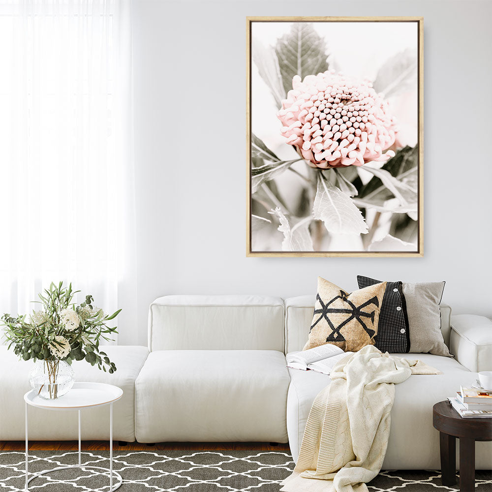 Shop Waratah Flowers III Photo Canvas Print a floral themed photography framed stretched canvas print from The Print Emporium wall artwork collection - Buy Australian made prints for the home and your interior decor space, TPE-959-CA-35X46-NF