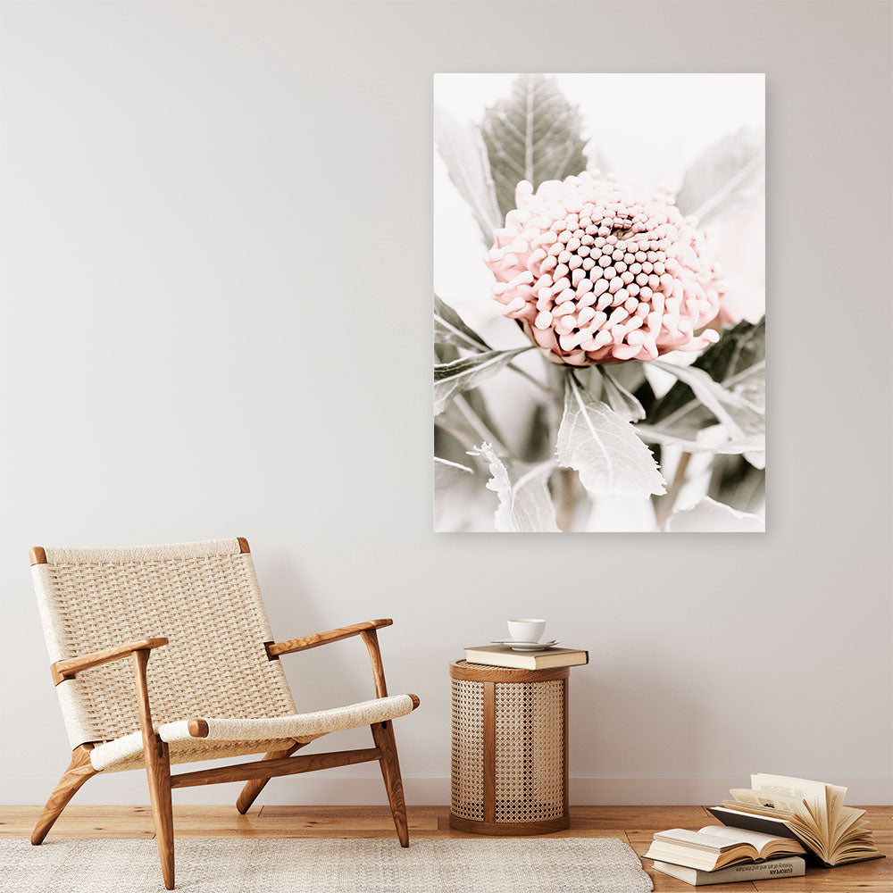 Shop Waratah Flowers III Photo Canvas Print a floral themed photography framed stretched canvas print from The Print Emporium wall artwork collection - Buy Australian made prints for the home and your interior decor space, TPE-959-CA-35X46-NF