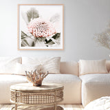 Shop Waratah Flowers III (Square) Photo Art Print a floral themed photography wall art print from The Print Emporium wall artwork collection - Buy Australian made fine art poster and framed prints for the home and your interior decor room, TPE-962-AP