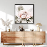 Shop Waratah Flowers III (Square) Photo Art Print a floral themed photography wall art print from The Print Emporium wall artwork collection - Buy Australian made fine art poster and framed prints for the home and your interior decor room, TPE-962-AP