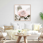 Shop Waratah Flowers III (Square) Photo Art Print a floral themed photography wall art print from The Print Emporium wall artwork collection - Buy Australian made fine art poster and framed prints for the home and your interior decor room, TPE-962-AP