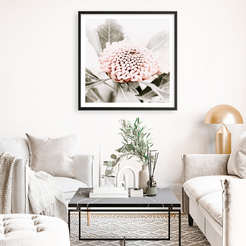 Shop Waratah Flowers III (Square) Photo Art Print a floral themed photography wall art print from The Print Emporium wall artwork collection - Buy Australian made fine art poster and framed prints for the home and your interior decor room, TPE-962-AP
