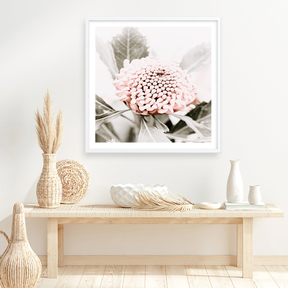 Shop Waratah Flowers III (Square) Photo Art Print a floral themed photography wall art print from The Print Emporium wall artwork collection - Buy Australian made fine art poster and framed prints for the home and your interior decor room, TPE-962-AP