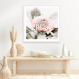 Shop Waratah Flowers III (Square) Photo Art Print a floral themed photography wall art print from The Print Emporium wall artwork collection - Buy Australian made fine art poster and framed prints for the home and your interior decor room, TPE-962-AP