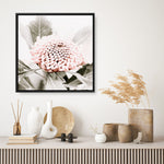 Shop Waratah Flowers III (Square) Photo Canvas Print a floral themed photography framed stretched canvas print from The Print Emporium wall artwork collection - Buy Australian made prints for the home and your interior decor space, TPE-962-CA-40X40-NF