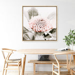 Shop Waratah Flowers III (Square) Photo Canvas Print a floral themed photography framed stretched canvas print from The Print Emporium wall artwork collection - Buy Australian made prints for the home and your interior decor space, TPE-962-CA-40X40-NF