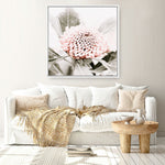 Shop Waratah Flowers III (Square) Photo Canvas Print a floral themed photography framed stretched canvas print from The Print Emporium wall artwork collection - Buy Australian made prints for the home and your interior decor space, TPE-962-CA-40X40-NF