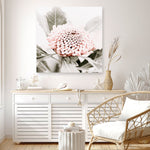Shop Waratah Flowers III (Square) Photo Canvas Print a floral themed photography framed stretched canvas print from The Print Emporium wall artwork collection - Buy Australian made prints for the home and your interior decor space, TPE-962-CA-40X40-NF