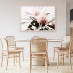 Shop Waratah Flowers Photo Art Print a floral themed photography wall art print from The Print Emporium wall artwork collection - Buy Australian made fine art poster and framed prints for the home and your interior decor room, TPE-538-AP