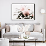 Shop Waratah Flowers Photo Art Print a floral themed photography wall art print from The Print Emporium wall artwork collection - Buy Australian made fine art poster and framed prints for the home and your interior decor room, TPE-538-AP