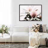 Shop Waratah Flowers Photo Art Print a floral themed photography wall art print from The Print Emporium wall artwork collection - Buy Australian made fine art poster and framed prints for the home and your interior decor room, TPE-538-AP