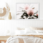 Shop Waratah Flowers Photo Art Print a floral themed photography wall art print from The Print Emporium wall artwork collection - Buy Australian made fine art poster and framed prints for the home and your interior decor room, TPE-538-AP