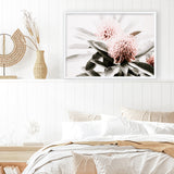 Shop Waratah Flowers Photo Art Print a floral themed photography wall art print from The Print Emporium wall artwork collection - Buy Australian made fine art poster and framed prints for the home and your interior decor room, TPE-538-AP