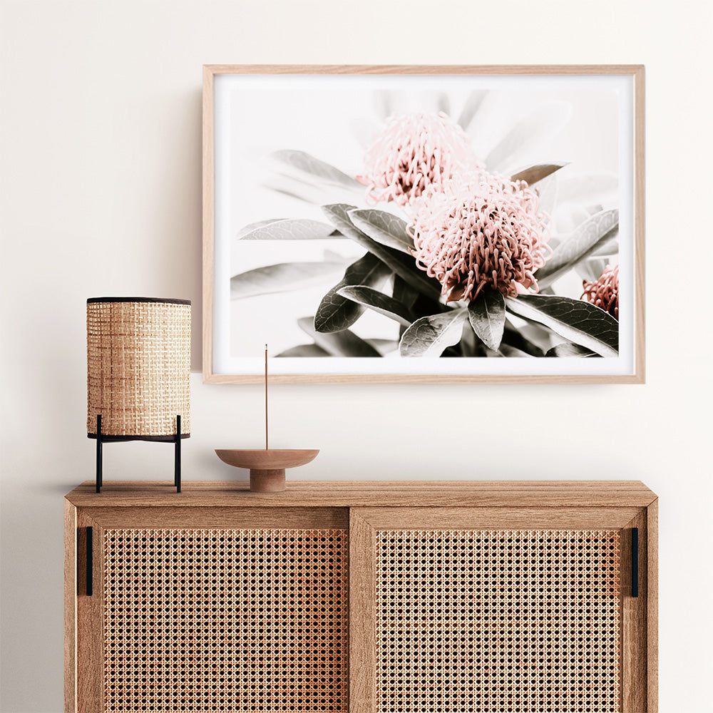 Shop Waratah Flowers Photo Art Print a floral themed photography wall art print from The Print Emporium wall artwork collection - Buy Australian made fine art poster and framed prints for the home and your interior decor room, TPE-538-AP