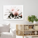 Shop Waratah Flowers Photo Art Print a floral themed photography wall art print from The Print Emporium wall artwork collection - Buy Australian made fine art poster and framed prints for the home and your interior decor room, TPE-538-AP