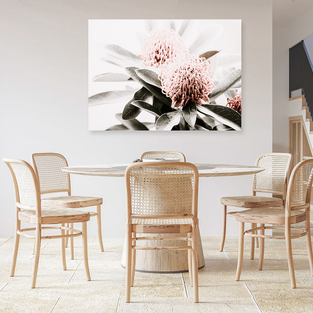 Shop Waratah Flowers Photo Canvas Print a floral themed photography framed stretched canvas print from The Print Emporium wall artwork collection - Buy Australian made prints for the home and your interior decor space, TPE-538-CA-35X46-NF