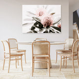 Shop Waratah Flowers Photo Canvas Print a floral themed photography framed stretched canvas print from The Print Emporium wall artwork collection - Buy Australian made prints for the home and your interior decor space, TPE-538-CA-35X46-NF