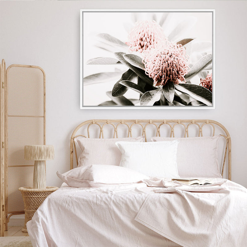 Shop Waratah Flowers Photo Canvas Print a floral themed photography framed stretched canvas print from The Print Emporium wall artwork collection - Buy Australian made prints for the home and your interior decor space, TPE-538-CA-35X46-NF