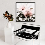 Shop Waratah Flowers (Square) Photo Art Print a floral themed photography wall art print from The Print Emporium wall artwork collection - Buy Australian made fine art poster and framed prints for the home and your interior decor room, TPE-970-AP
