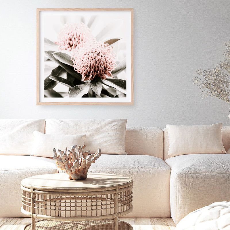 Shop Waratah Flowers (Square) Photo Art Print a floral themed photography wall art print from The Print Emporium wall artwork collection - Buy Australian made fine art poster and framed prints for the home and your interior decor room, TPE-970-AP