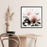 Shop Waratah Flowers (Square) Photo Art Print a floral themed photography wall art print from The Print Emporium wall artwork collection - Buy Australian made fine art poster and framed prints for the home and your interior decor room, TPE-970-AP