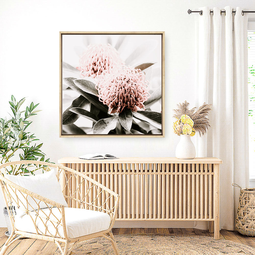 Shop Waratah Flowers (Square) Photo Canvas Print a floral themed photography framed stretched canvas print from The Print Emporium wall artwork collection - Buy Australian made prints for the home and your interior decor space, TPE-970-CA-40X40-NF
