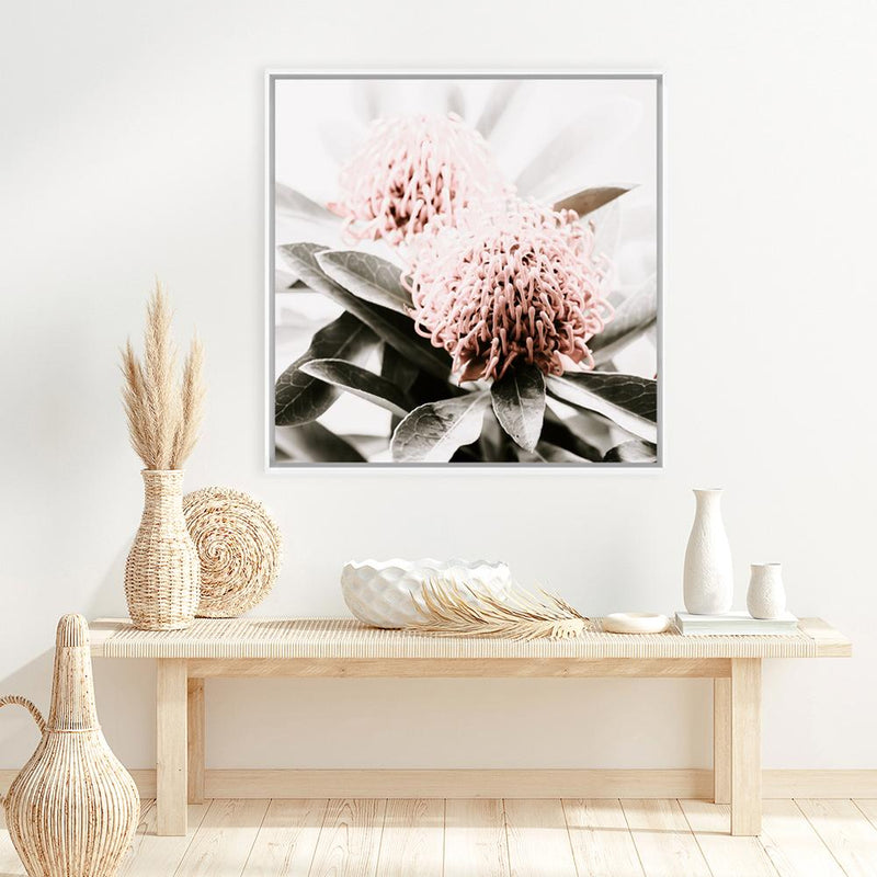 Shop Waratah Flowers (Square) Photo Canvas Print a floral themed photography framed stretched canvas print from The Print Emporium wall artwork collection - Buy Australian made prints for the home and your interior decor space, TPE-970-CA-40X40-NF