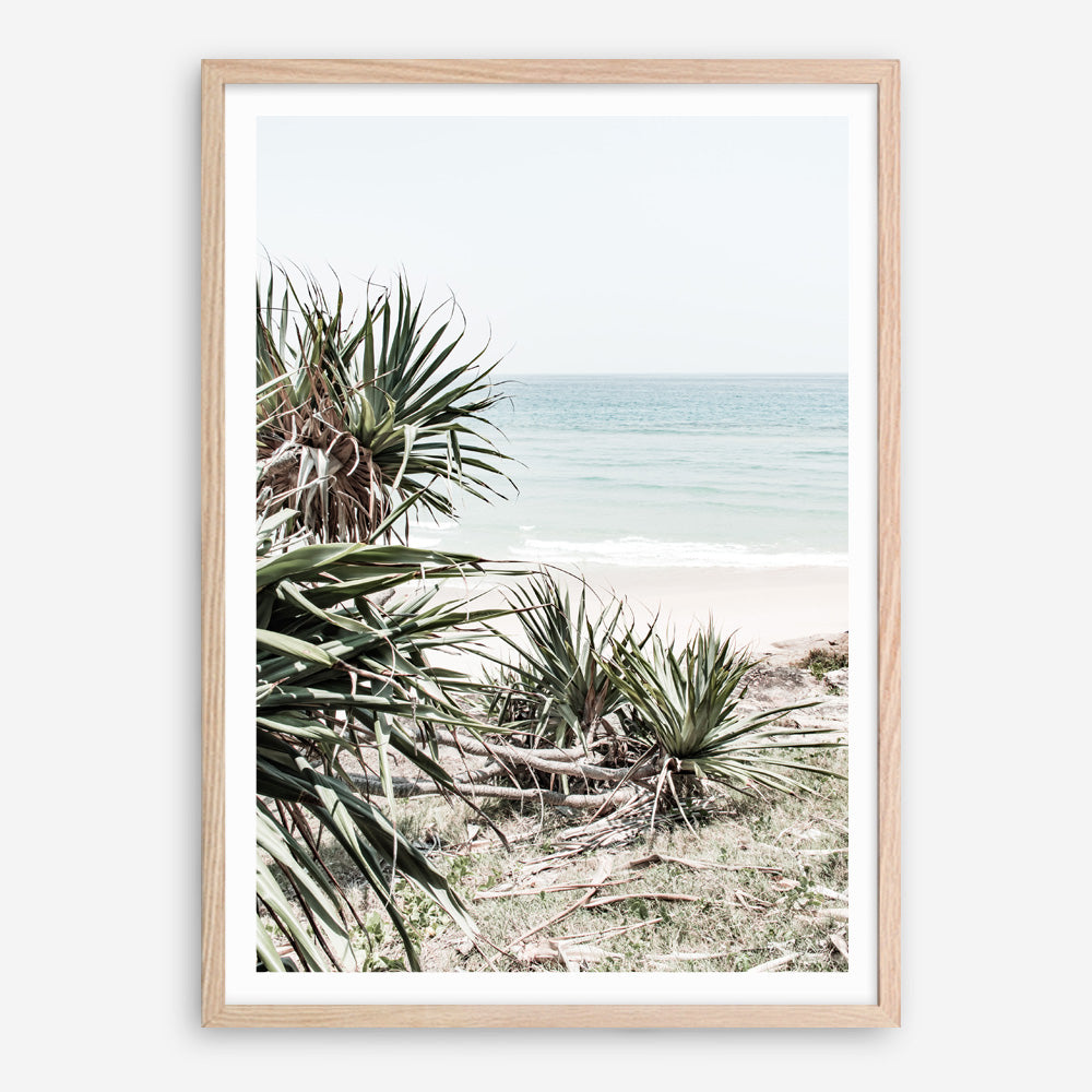 Shop Wategos Beach IV Photo Art Print a coastal themed photography wall art print from The Print Emporium wall artwork collection - Buy Australian made fine art poster and framed prints for the home and your interior decor, TPE-978-AP