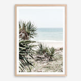 Shop Wategos Beach IV Photo Art Print a coastal themed photography wall art print from The Print Emporium wall artwork collection - Buy Australian made fine art poster and framed prints for the home and your interior decor, TPE-978-AP