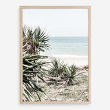Shop Wategos Beach IV Photo Art Print a coastal themed photography wall art print from The Print Emporium wall artwork collection - Buy Australian made fine art poster and framed prints for the home and your interior decor, TPE-978-AP