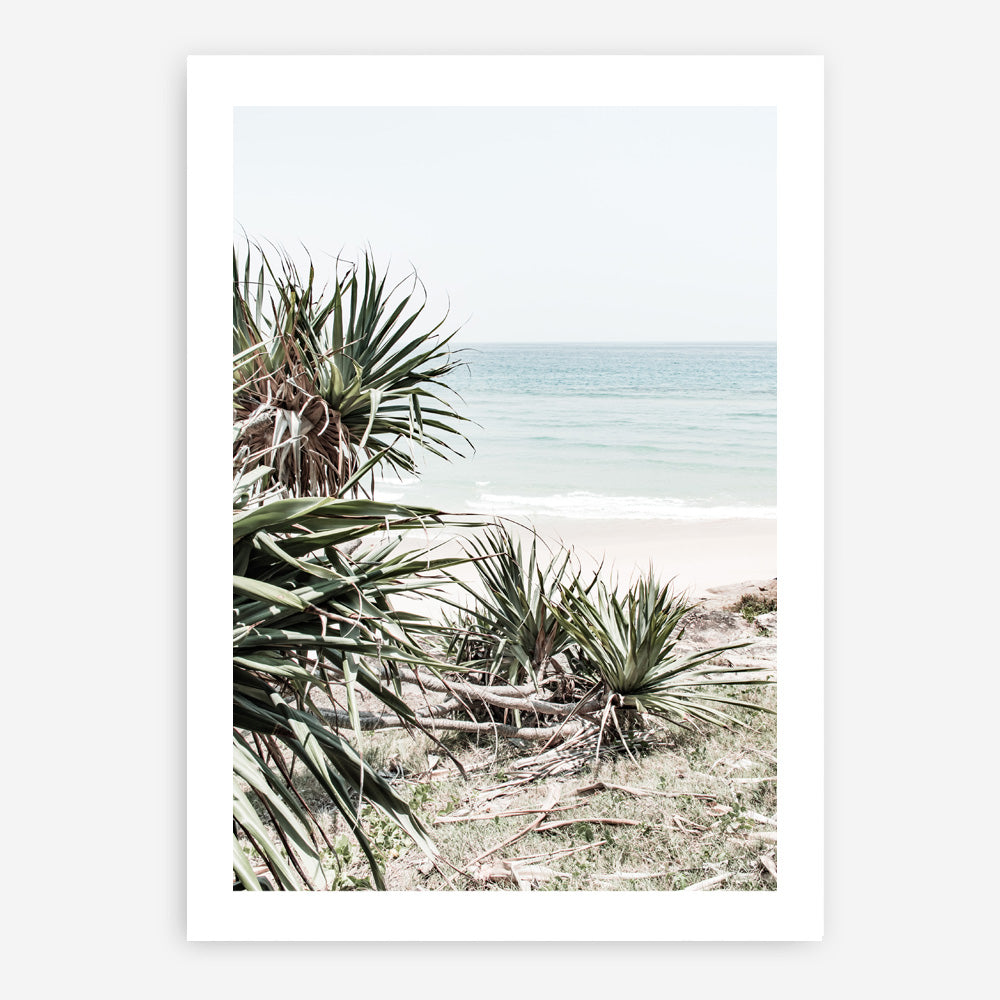 Shop Wategos Beach IV Photo Art Print a coastal themed photography wall art print from The Print Emporium wall artwork collection - Buy Australian made fine art poster and framed prints for the home and your interior decor, TPE-978-AP