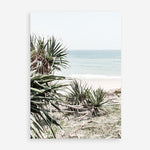 Shop Wategos Beach IV Photo Art Print a coastal themed photography wall art print from The Print Emporium wall artwork collection - Buy Australian made fine art poster and framed prints for the home and your interior decor, TPE-978-AP