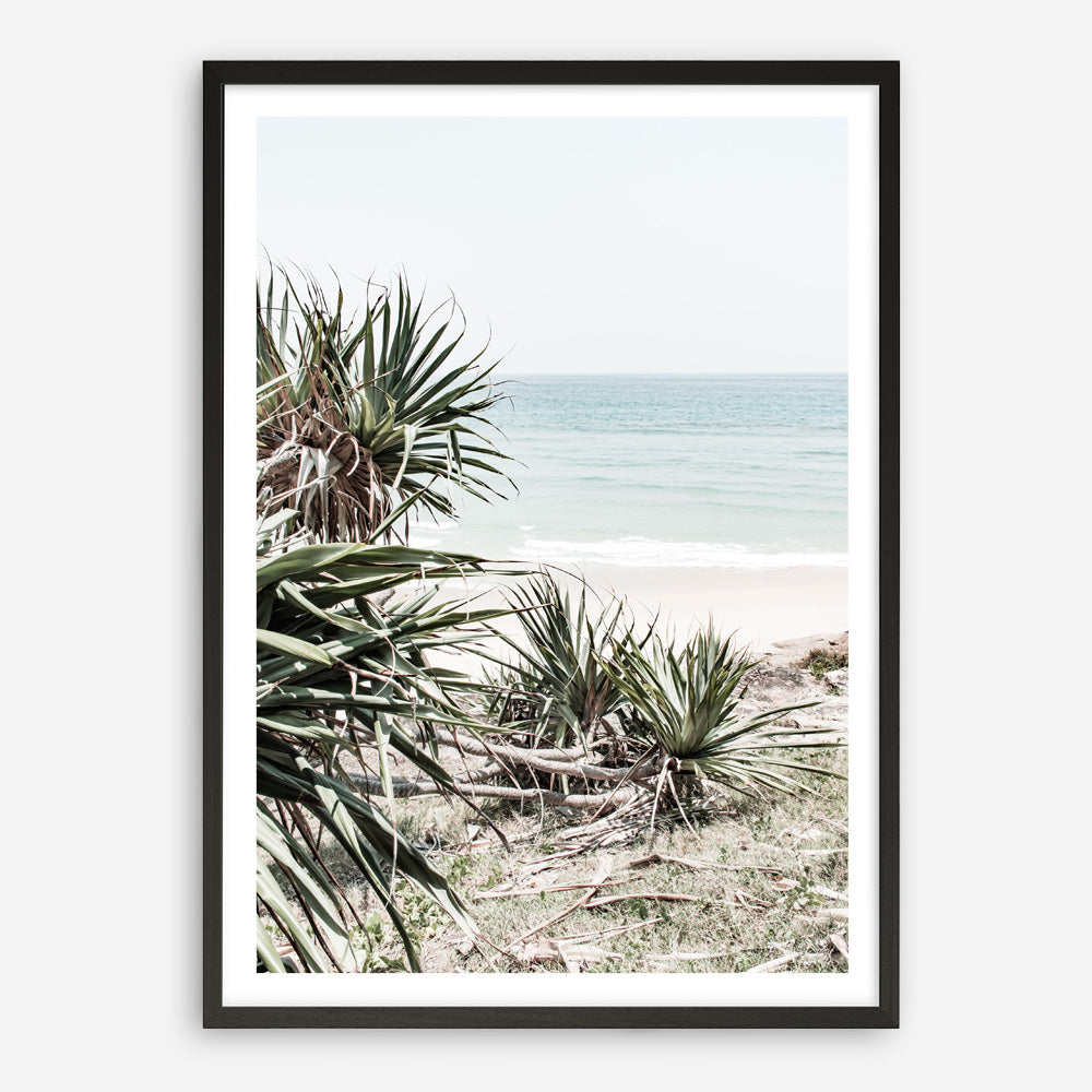 Shop Wategos Beach IV Photo Art Print a coastal themed photography wall art print from The Print Emporium wall artwork collection - Buy Australian made fine art poster and framed prints for the home and your interior decor, TPE-978-AP