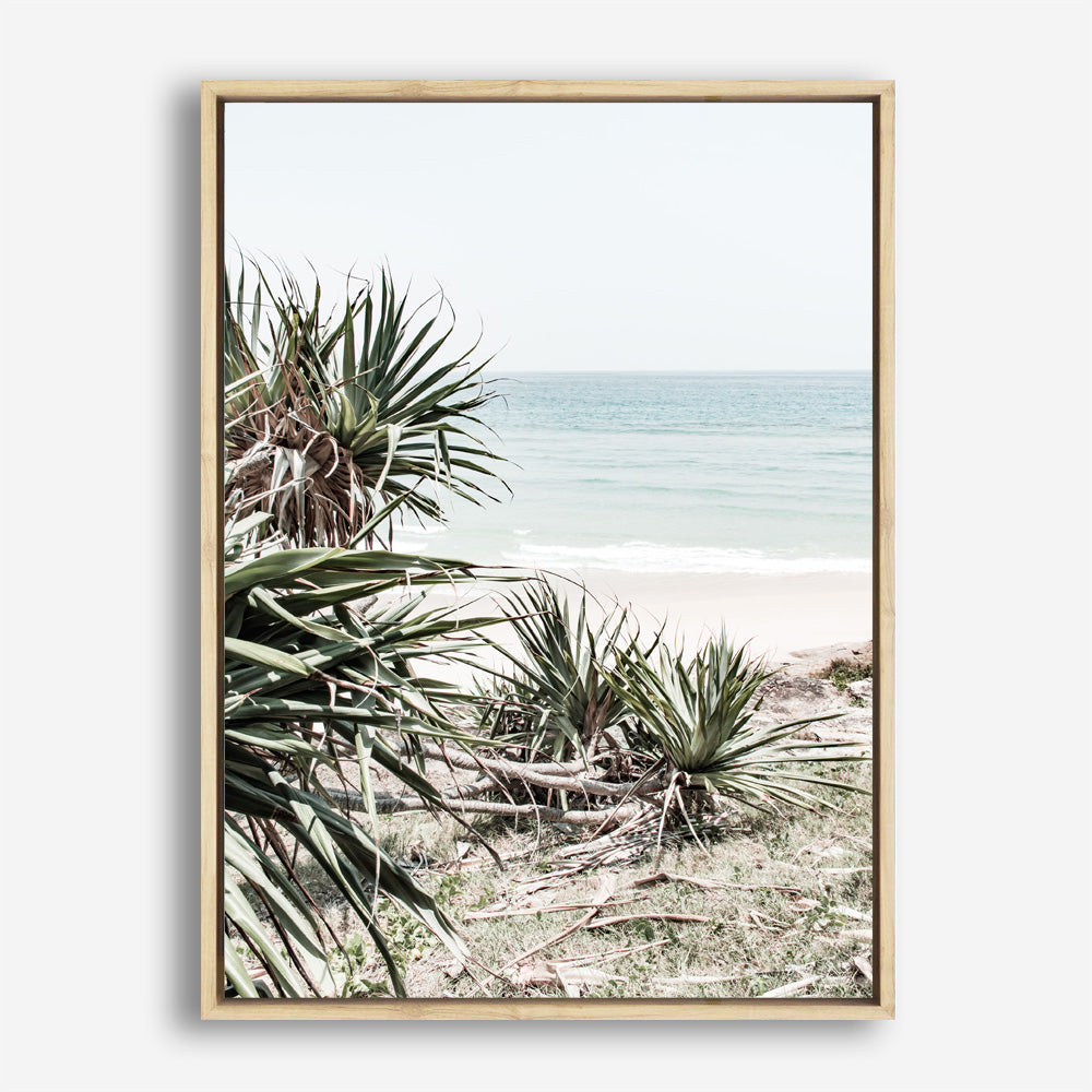Shop Wategos Beach IV Photo Canvas Print a coastal themed photography framed stretched canvas print from The Print Emporium wall artwork collection - Buy Australian made prints for the home and your interior decor space, TPE-978-CA-35X46-NF