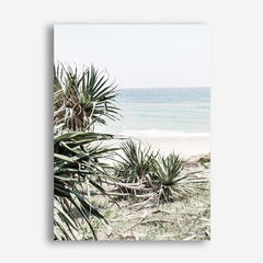 Shop Wategos Beach IV Photo Canvas Print a coastal themed photography framed stretched canvas print from The Print Emporium wall artwork collection - Buy Australian made prints for the home and your interior decor space, TPE-978-CA-35X46-NF