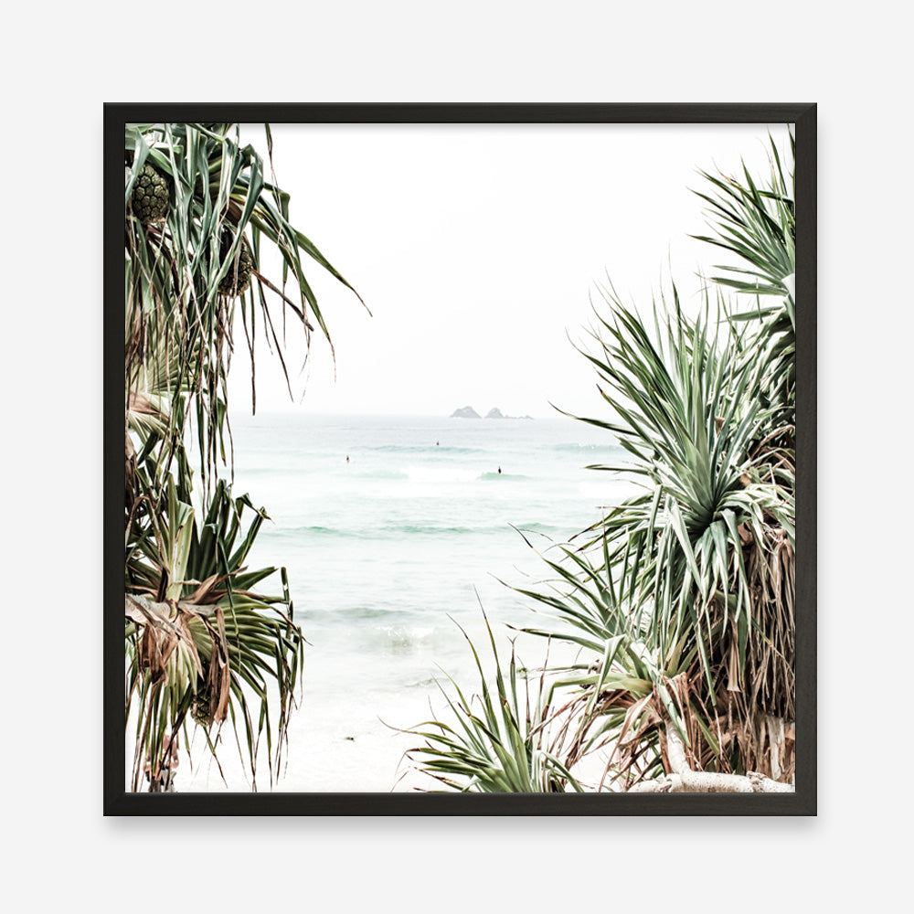 Shop Wategos Views (Square) Photo Art Print a coastal themed photography wall art print from The Print Emporium wall artwork collection - Buy Australian made fine art poster and framed prints for the home and your interior decor, TPE-969-AP