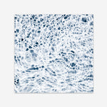 Shop Water Detail (Square) Photo Art Print a coastal themed photography wall art print from The Print Emporium wall artwork collection - Buy Australian made fine art poster and framed prints for the home and your interior decor, TPE-565-AP