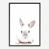 Shop White Bunny Photo Art Print a photography wall art print from The Print Emporium wall artwork collection - Buy Australian made fine art poster and framed prints for the home and your interior decor room, TPE-560-AP